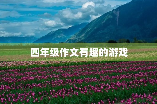 四年级作文有趣的游戏