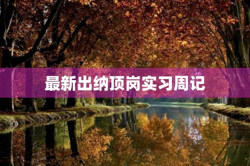 最新出纳顶岗实习周记 最新出纳顶岗实习周记