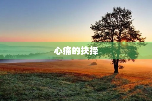 心痛的抉择