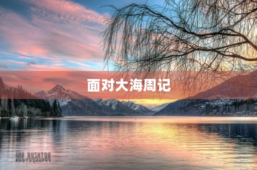 面对大海周记