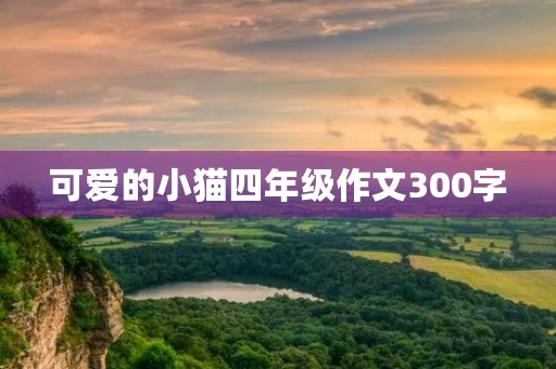 可爱的小猫四年级作文300字 可爱的小猫四年级作文300字