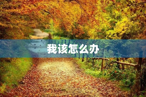 我该怎么办 我该怎么办