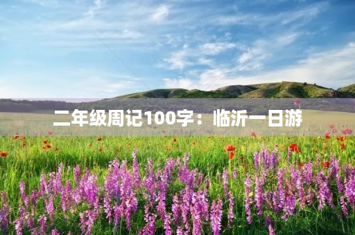 二年级周记100字：临沂一日游