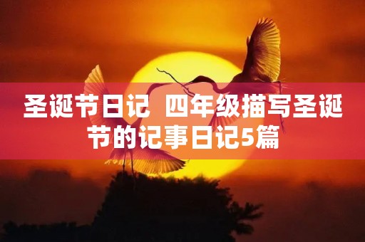 圣诞节日记  四年级描写圣诞节的记事日记5篇