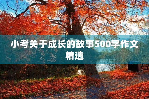 小考关于成长的故事500字作文精选 小考关于成长的故事500字作文精选