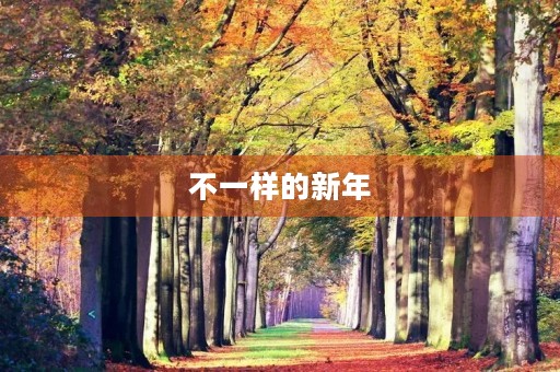 不一样的新年 不一样的新年
