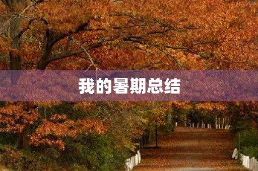 我的暑期总结 我的暑期总结