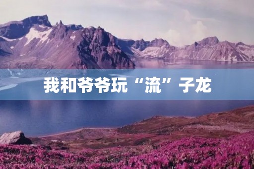 我和爷爷玩“流”子龙