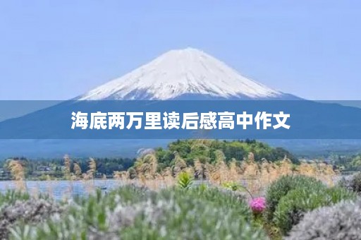 海底两万里读后感高中作文 海底两万里读后感高中作文