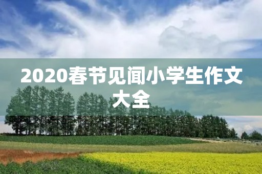 2020春节见闻小学生作文大全