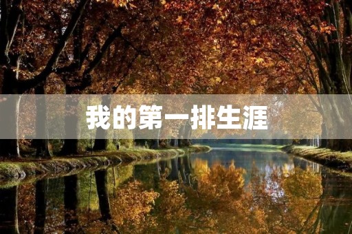 我的第一排生涯 我的第一排生涯