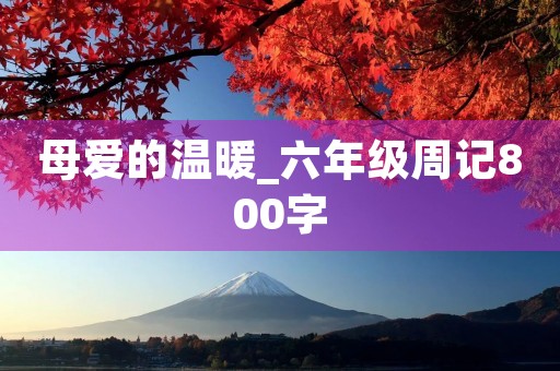 母爱的温暖_六年级周记800字