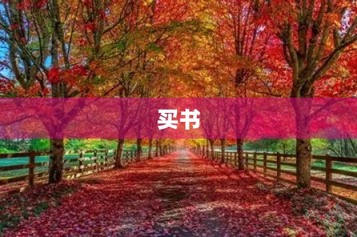 买书 买书
