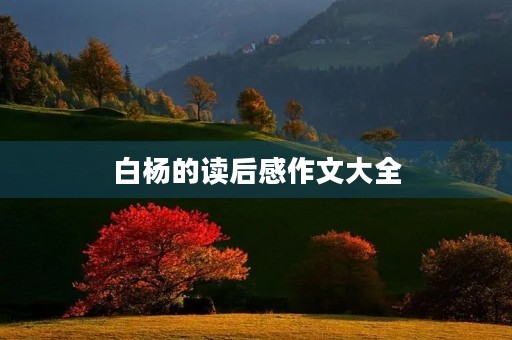 白杨的读后感作文大全 白杨的读后感作文大全