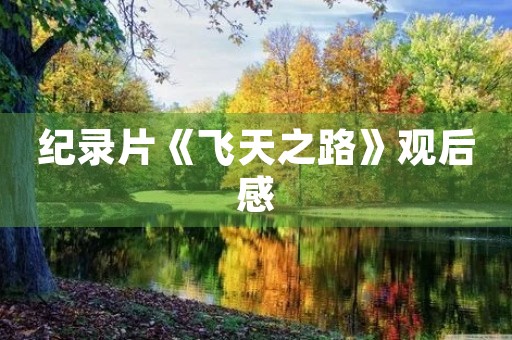 纪录片《飞天之路》观后感