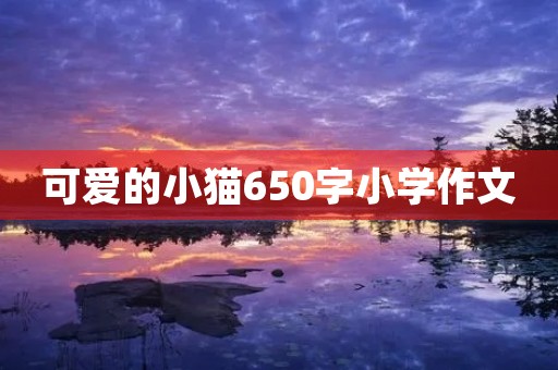 可爱的小猫650字小学作文 可爱的小猫650字小学作文