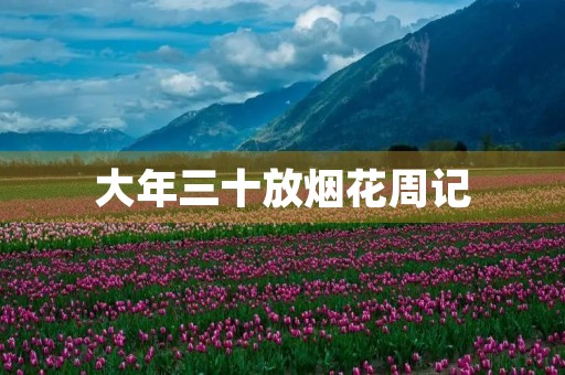 大年三十放烟花周记