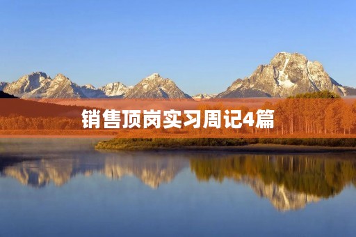 销售顶岗实习周记4篇 销售顶岗实习周记4篇