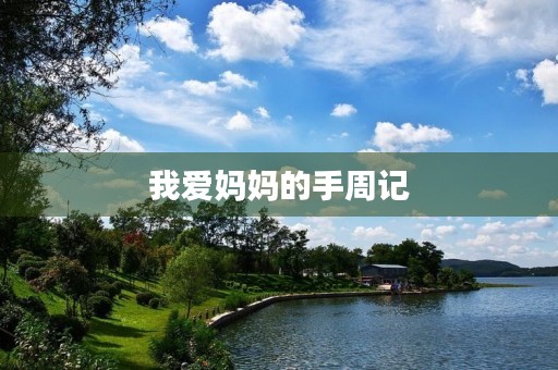 我爱妈妈的手周记
