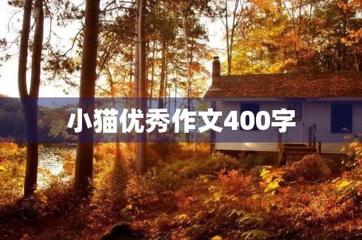 小猫优秀作文400字