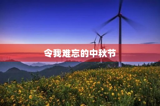 令我难忘的中秋节 令我难忘的中秋节