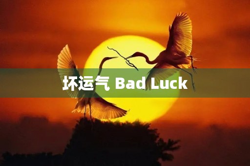 坏运气 Bad Luck 坏运气 Bad Luck
