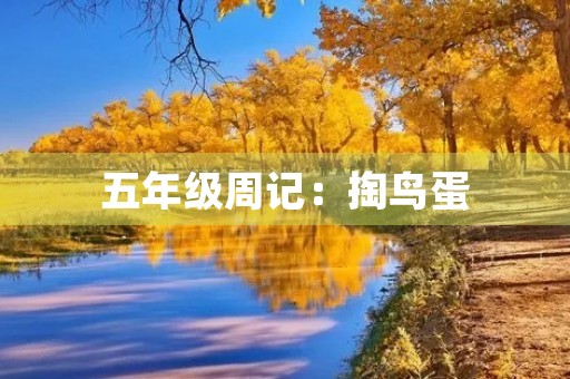 五年级周记:掏鸟蛋 五年级周记:掏鸟蛋