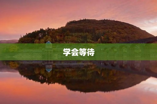 学会等待 学会等待