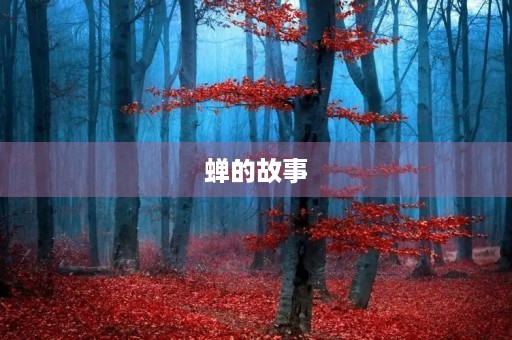 蝉的故事 蝉的故事