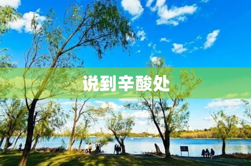 说到辛酸处 说到辛酸处