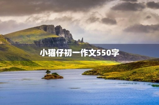 小猫仔初一作文550字 小猫仔初一作文550字