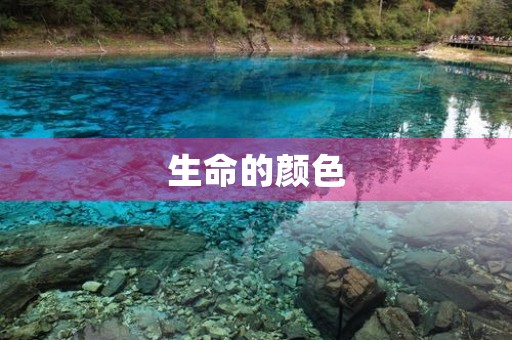 生命的颜色