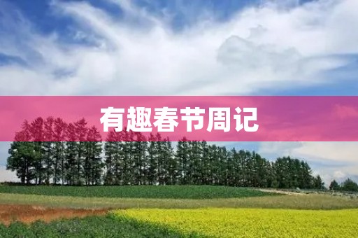 有趣春节周记
