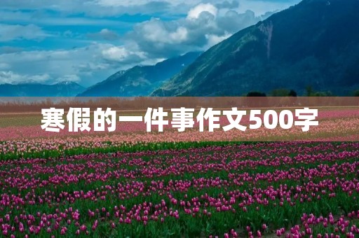 寒假的一件事作文500字 寒假的一件事作文500字