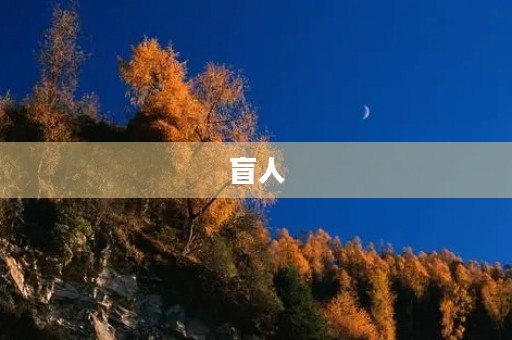 盲人 盲人