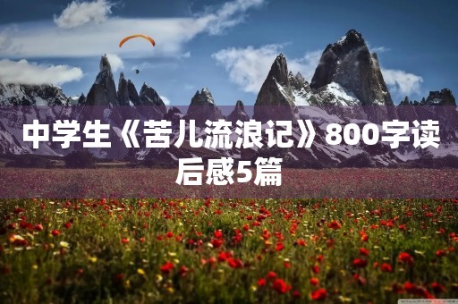 中学生《苦儿流浪记》800字读后感5篇 中学生《苦儿流浪记》800字读后感5篇