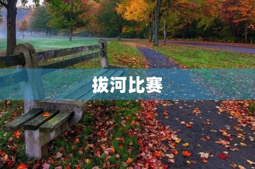 拔河比赛