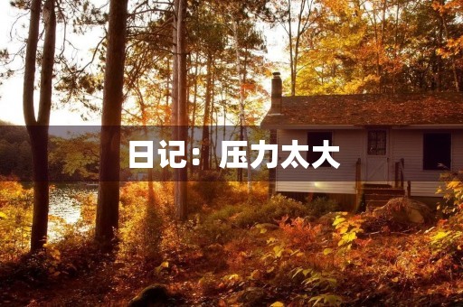 日记:压力太大 日记:压力太大