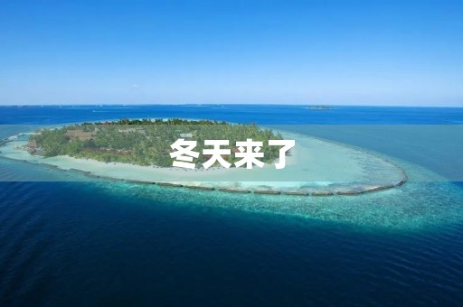 冬天来了 冬天来了