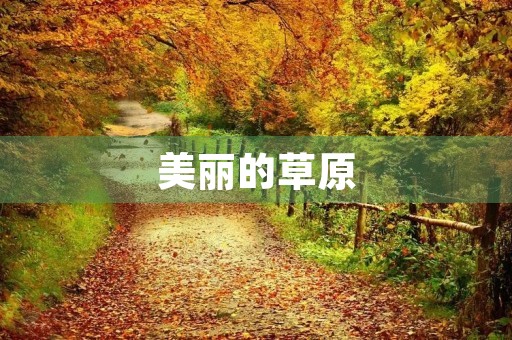 美丽的草原 美丽的草原