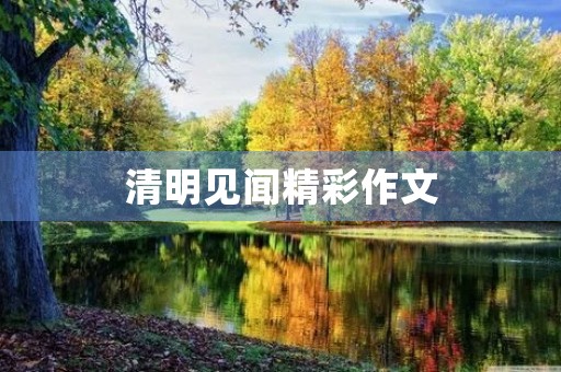 清明见闻精彩作文 清明见闻精彩作文