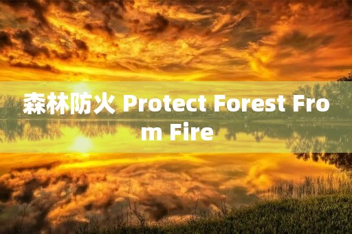 森林防火 Protect Forest From Fire