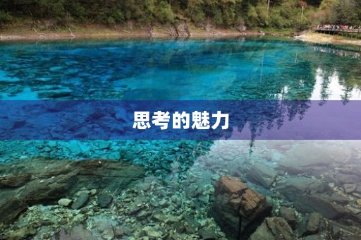 思考的魅力