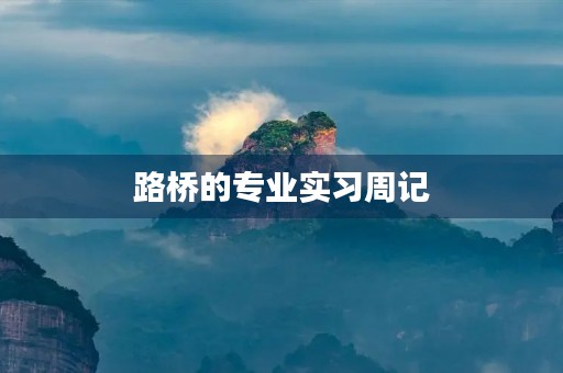 路桥的专业实习周记