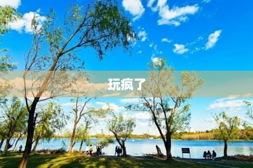 玩疯了 玩疯了