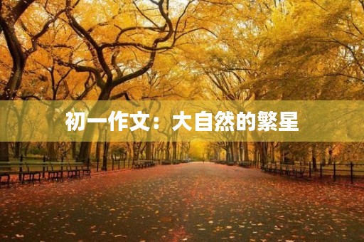 初一作文：大自然的繁星