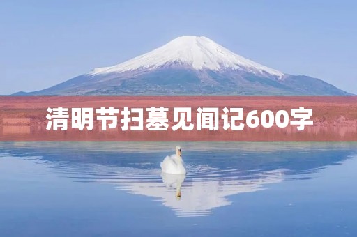 清明节扫墓见闻记600字 清明节扫墓见闻记600字