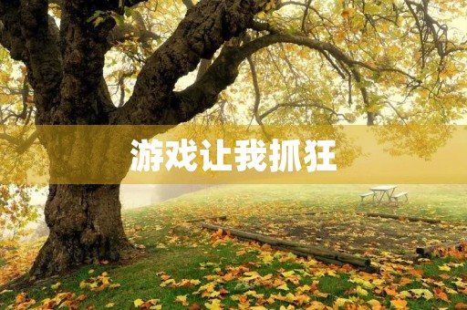 游戏让我抓狂 游戏让我抓狂