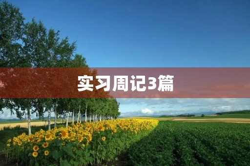 实习周记3篇 实习周记3篇