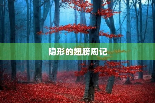 隐形的翅膀周记 隐形的翅膀周记